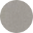  Fossil